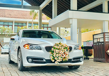 Travel and Transport